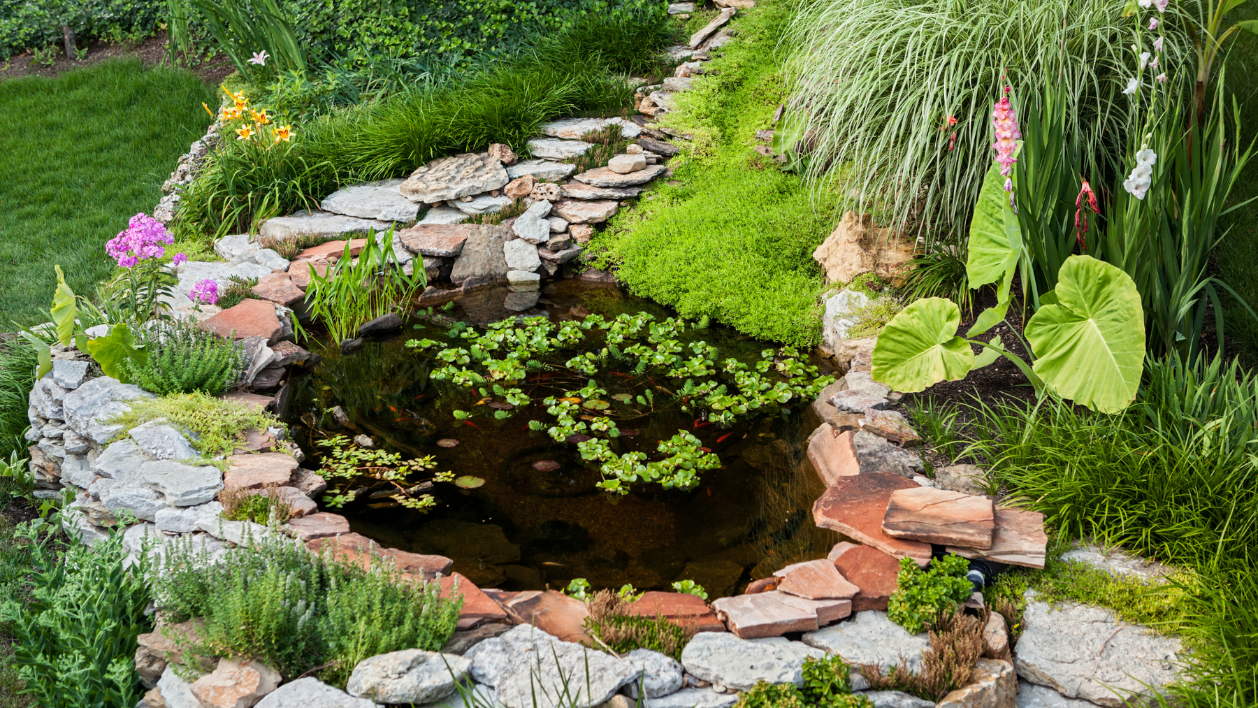DIY Building your Pond