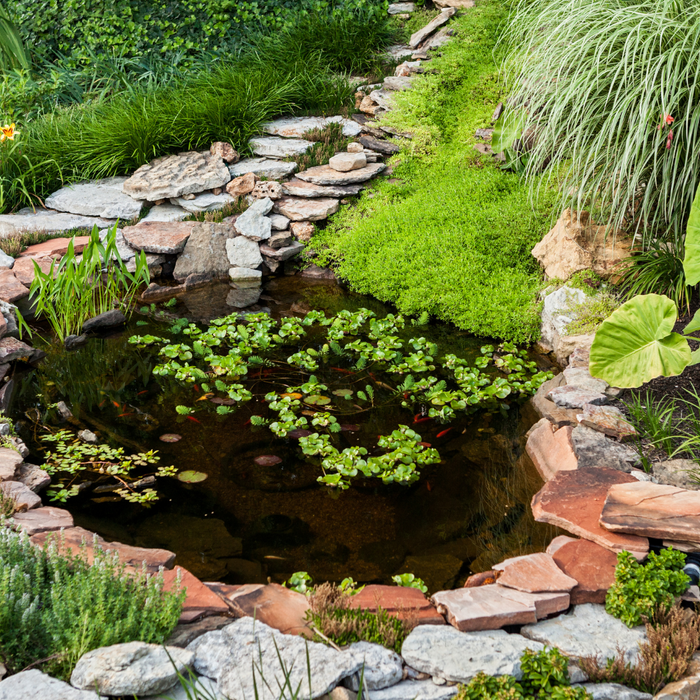 DIY Building your Pond