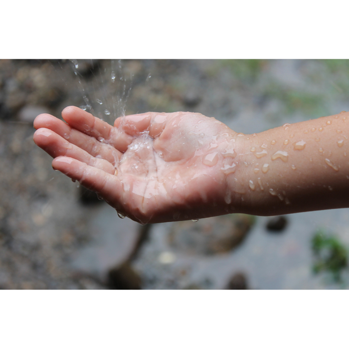 A Beginner’s Guide to Rainwater Harvesting