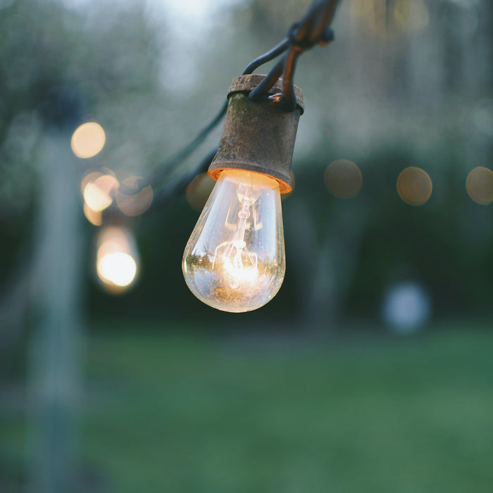 Landscape Lighting 101