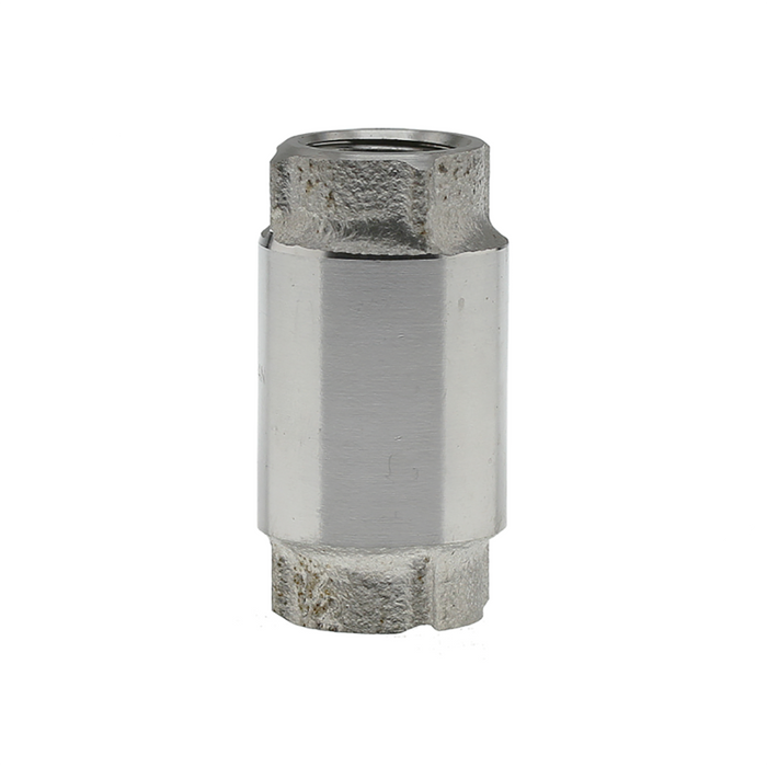 Stainless Steel 1" FIPT Spring Check Valve