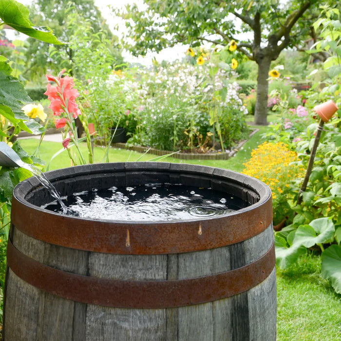 6 Key Benefits of Rainwater Harvesting