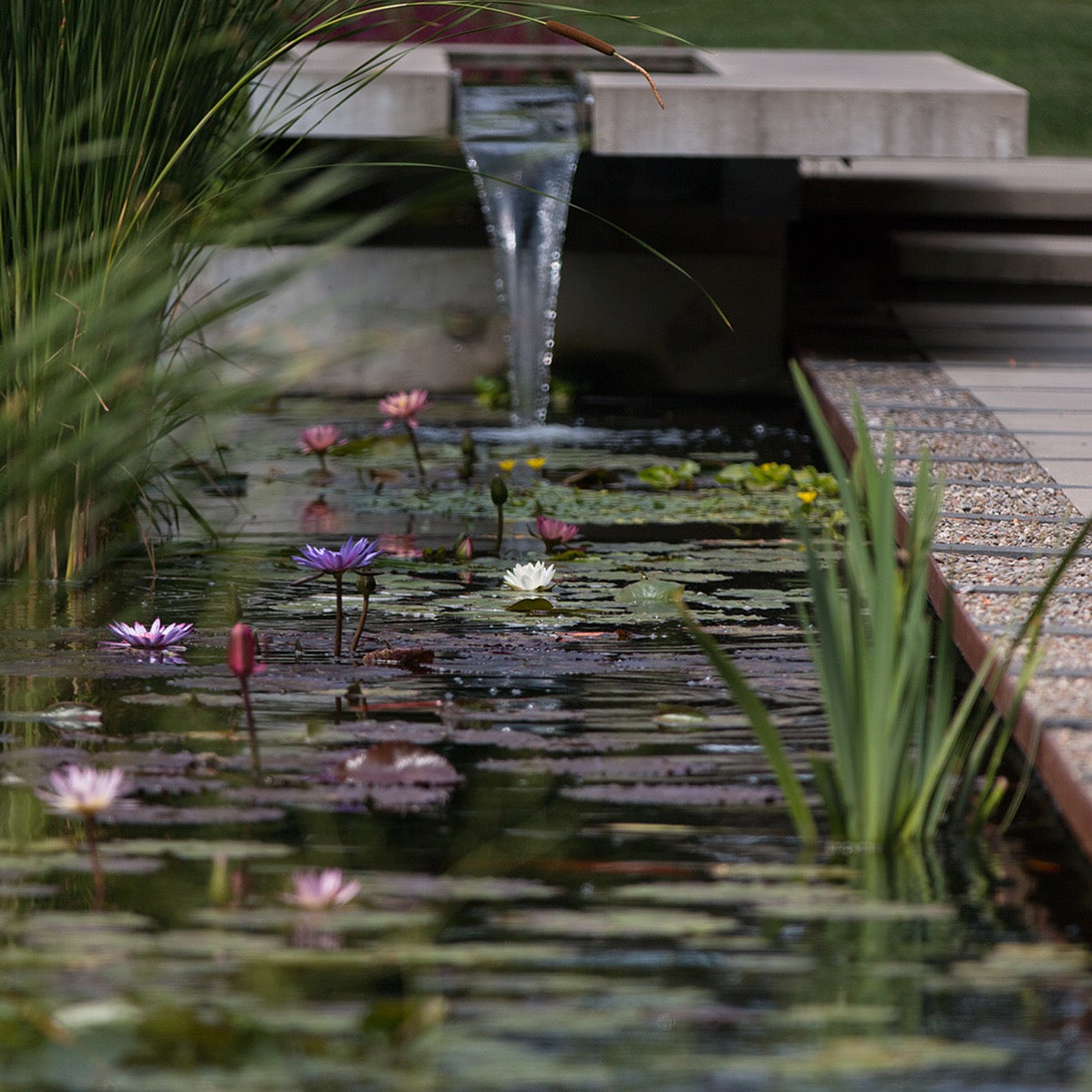 Do you really need a Pond Filter?