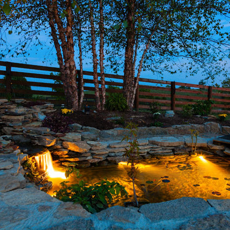 Choosing The Right Pond Lights For You!