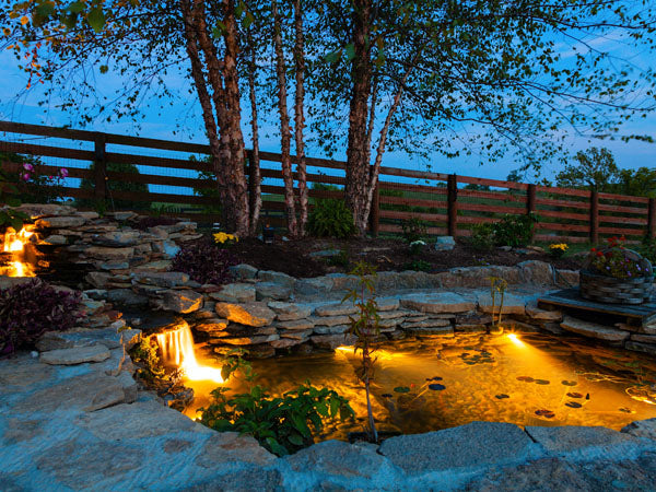 Choosing The Right Pond Lights For You!