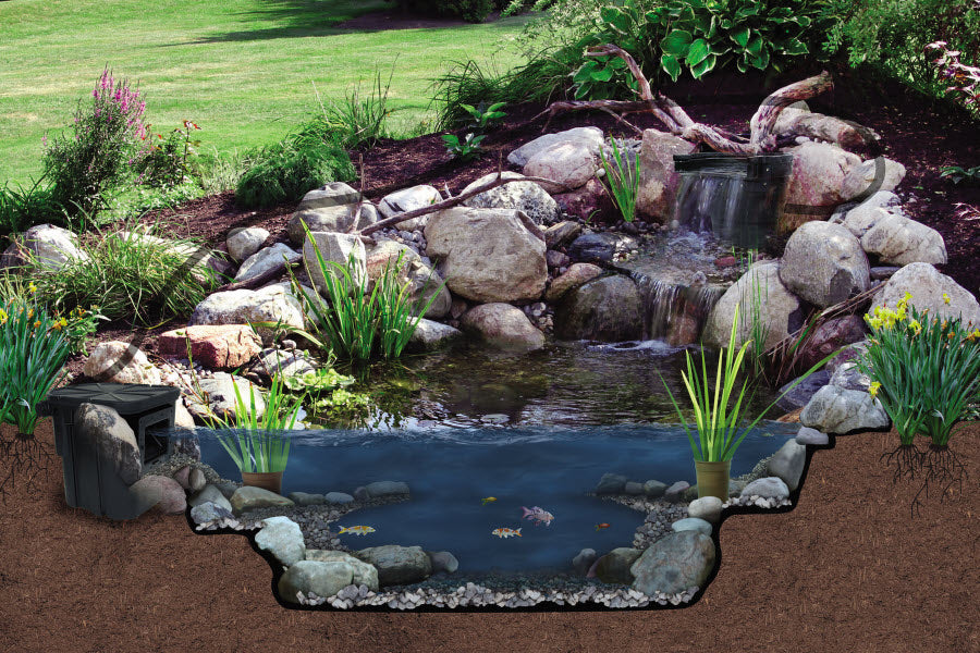 Environmental benefits of a Pond
