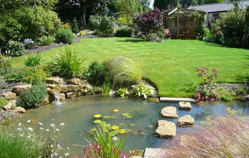 Pond Building Basics