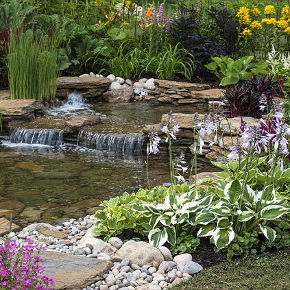 Everything you Need to Build a Water Garden