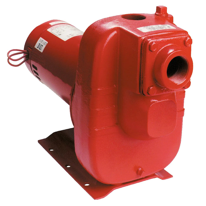 Red Lion 3 HP Cast Iron Industrial Sprinkler Pump